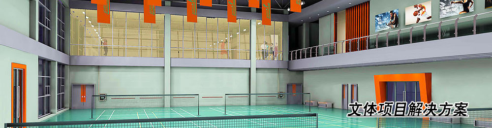 中央空調(diào)文體項目